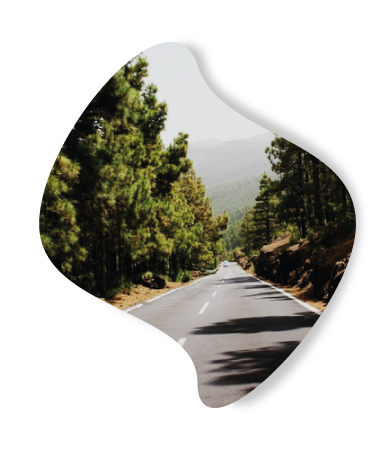 Driving school Leiderdorp